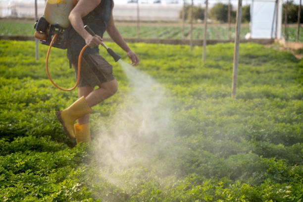 Best Pest Control Near Me  in San Diego, CA