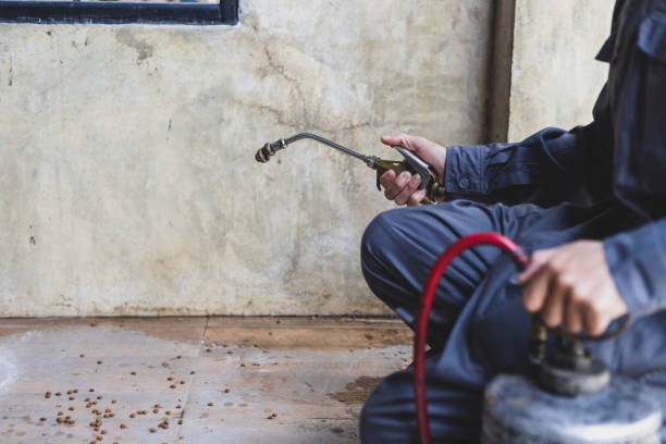 Reliable San Diego, CA Pest Control Solutions